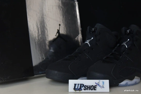 Jordan 6 DX2836-001 DX2836-001 Silver Metallic Retro 0321